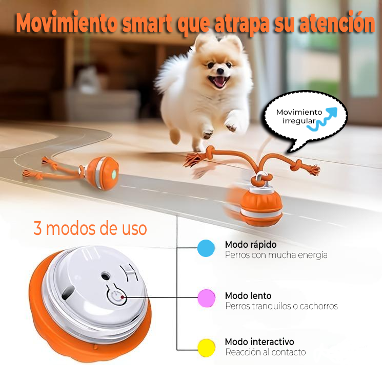 MimoRoll™ – Pelota Inteligente para Mascotas